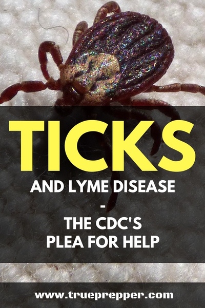 Ticks and Lyme Disease – The CDC’s Plea for Help