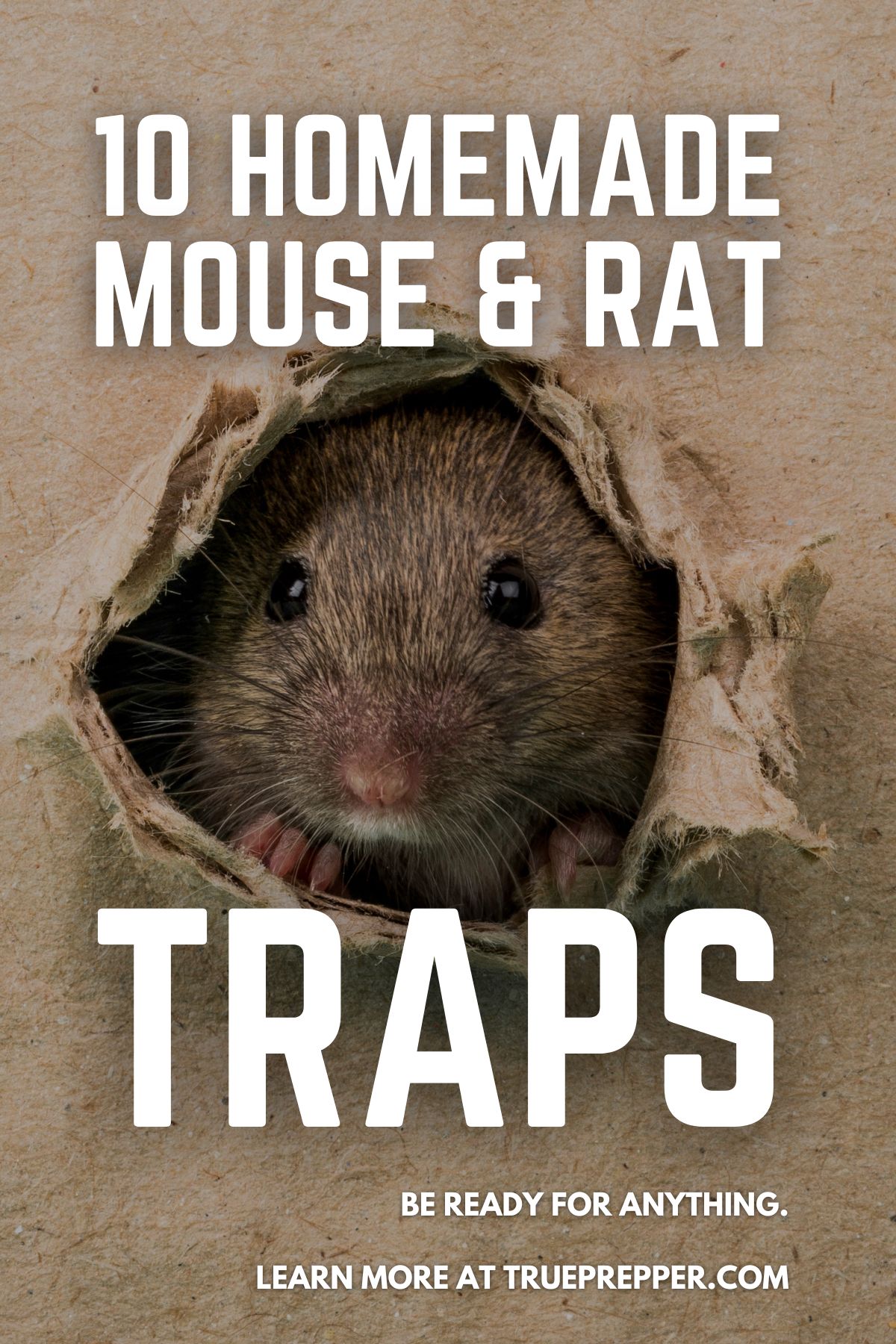 Non Lethal Homemade Mouse Trap : 7 Steps - Instructables