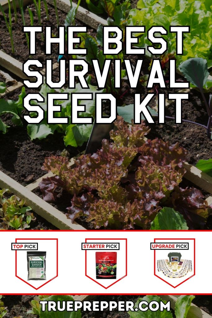 Best Survival Seed Kit for Your Prepper Garden TruePrepper