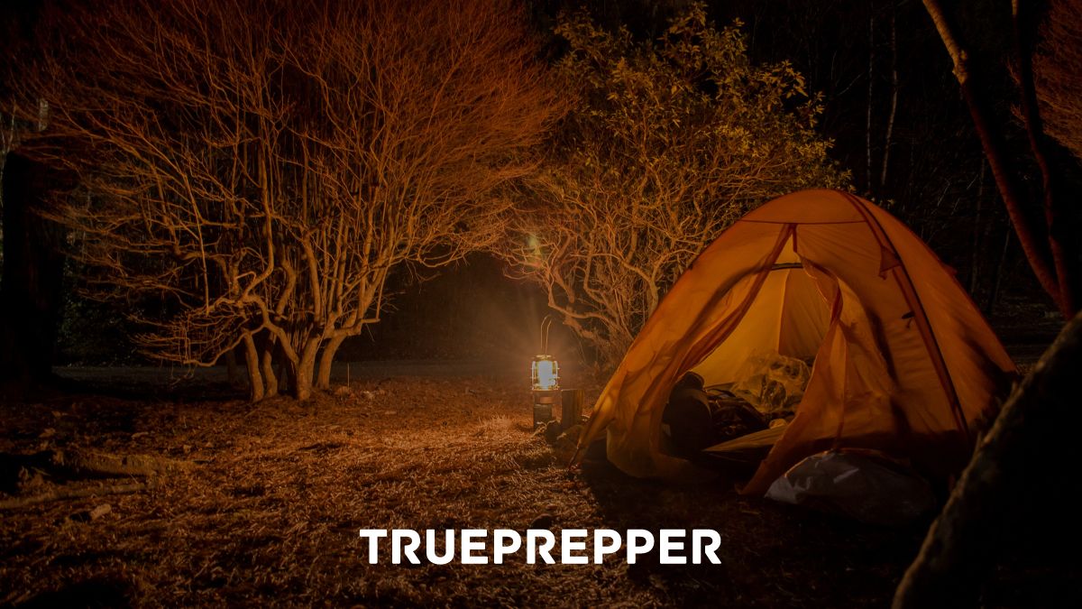 https://www.trueprepper.com/wp-content/uploads/Best-Lantern-for-Survival-and-Prepping.jpg