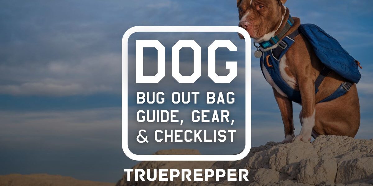 Dog Bug Out Bag Guide, Gear List, and Checklist on rock with backpack.