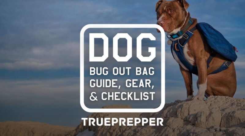 Dog Bug Out Bag Guide, Gear List, and Checklist