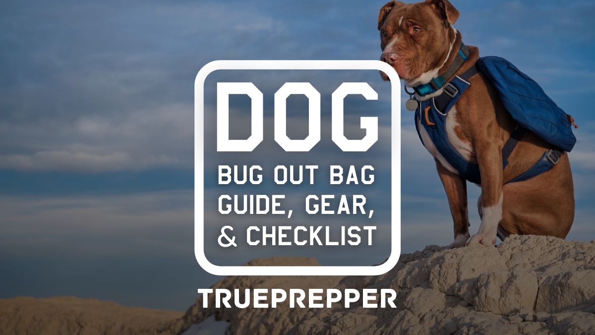 Dog Bug Out Bag Guide, Gear List, and Checklist