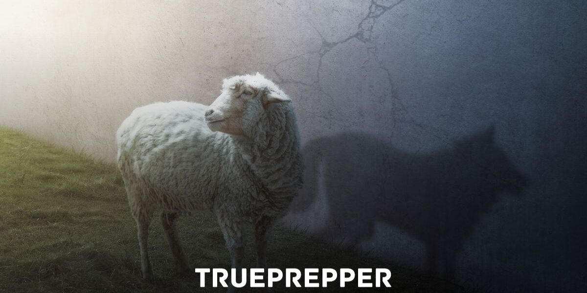 How to Find Preppers in Your Area Wolf in Sheep's Clothing