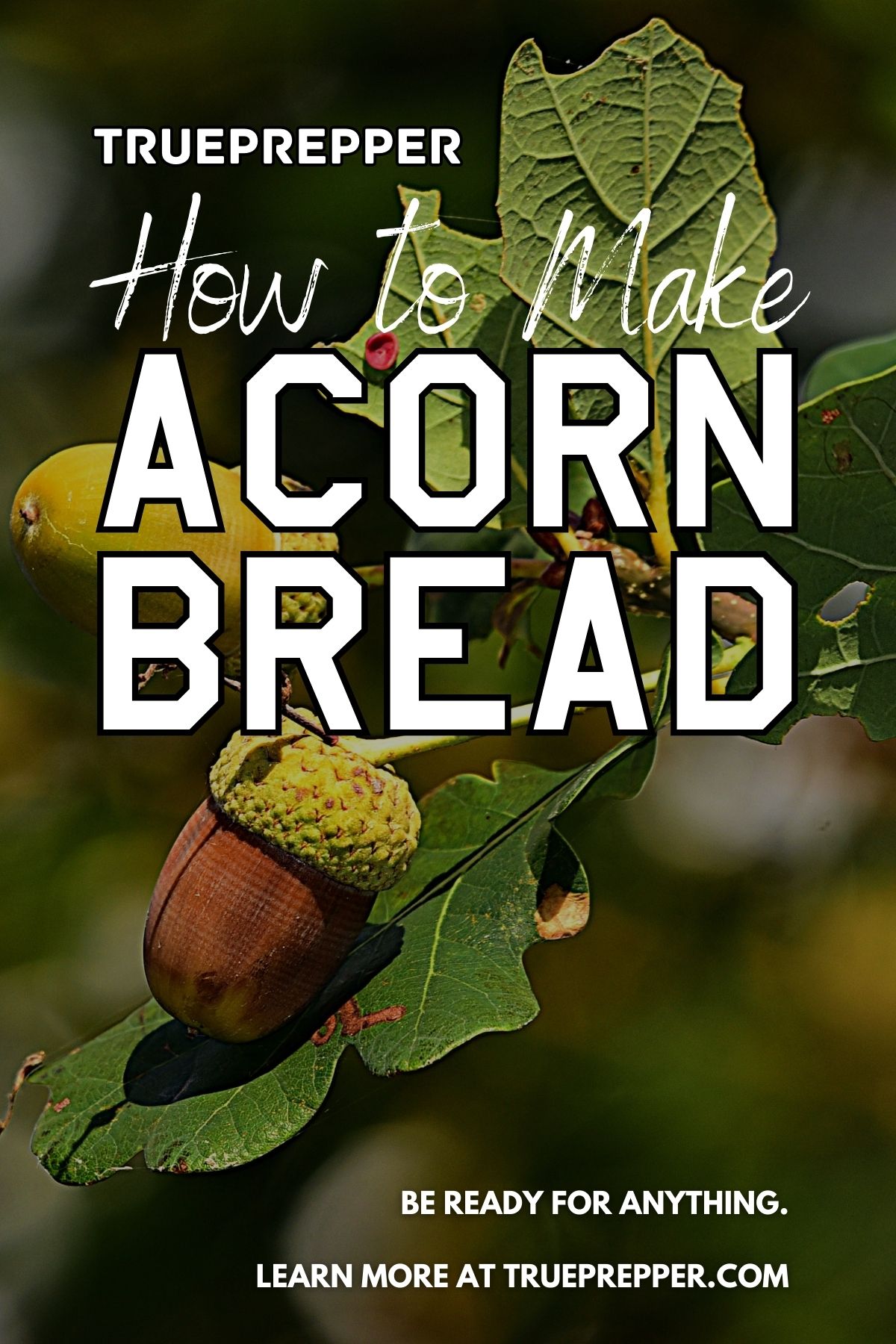 How to Make Acorn Flour for Acorn Bread - Step-by-Step Instructions