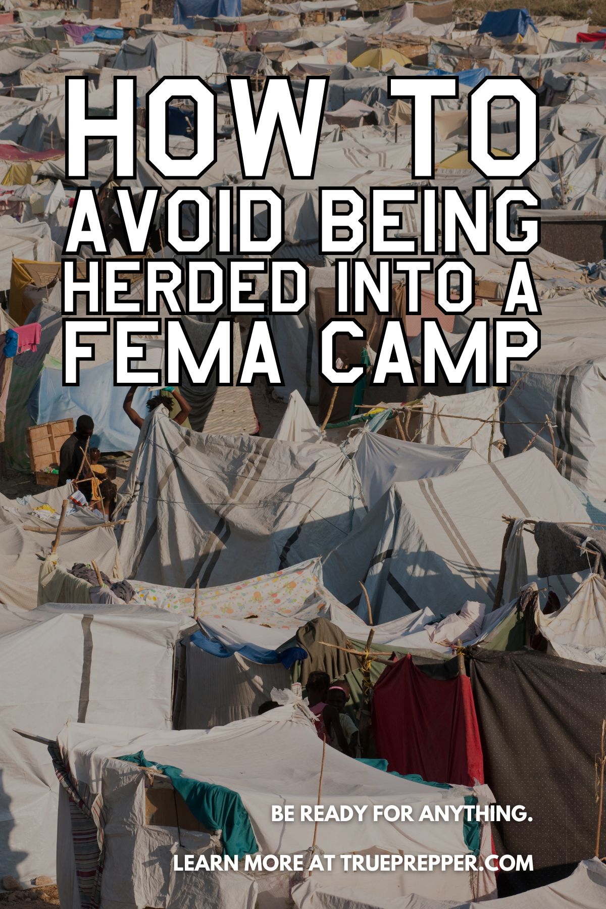 How to Not Get Herded Into a FEMA Camp