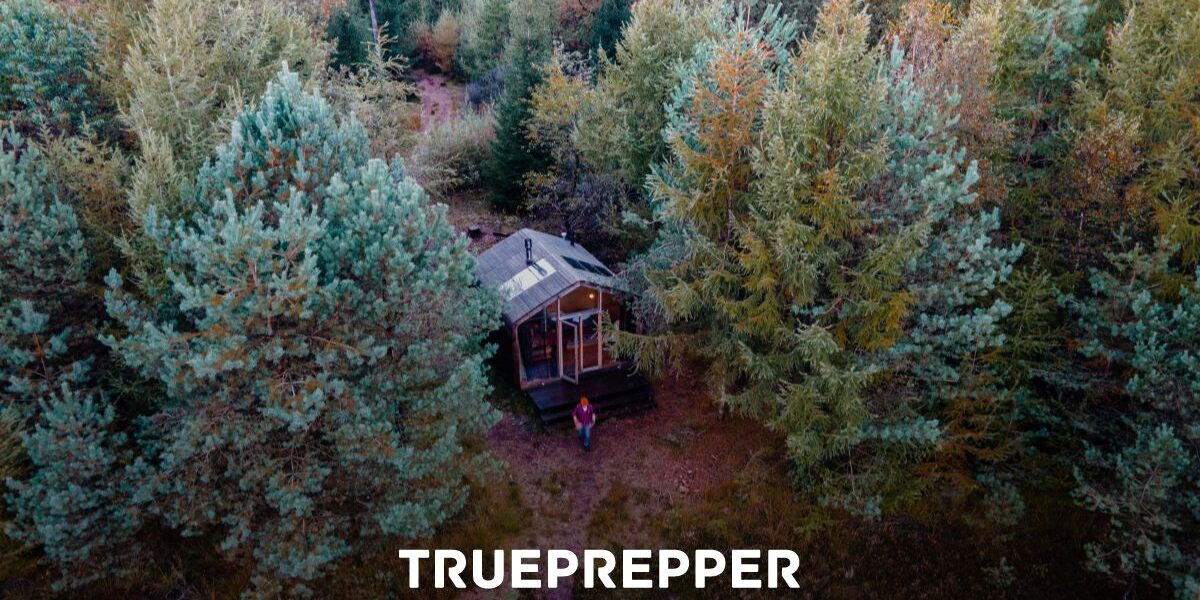 Image showcasing Best Off-Grid Cabin Kits Starting at $5999 | TruePrepper