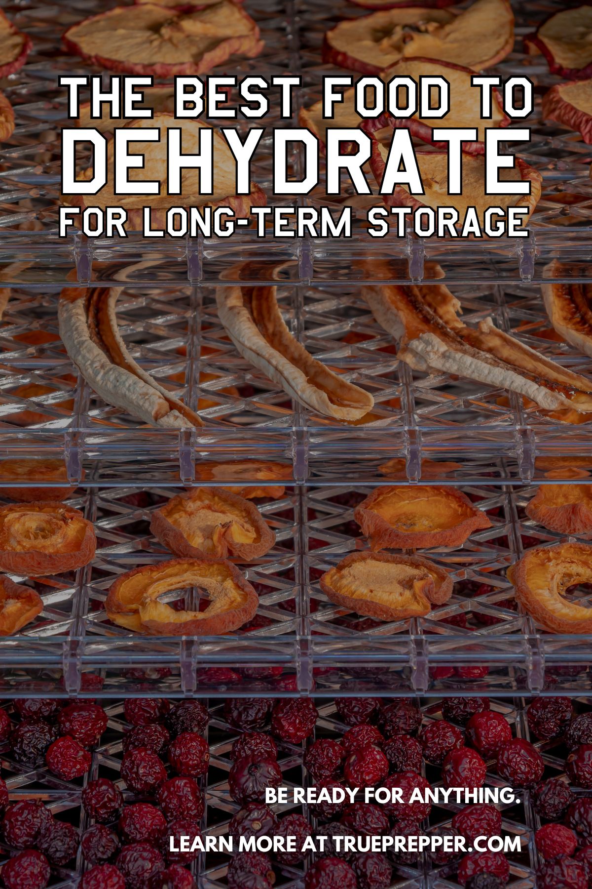 The Best Food to Dehydrate for Long-Term Storage