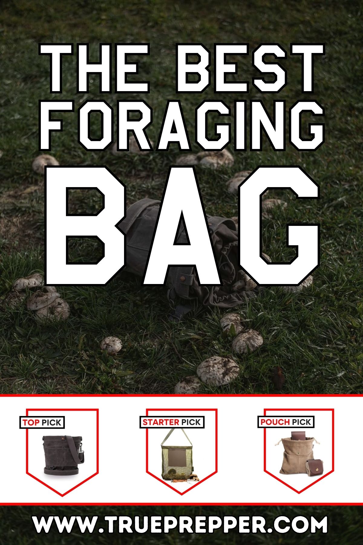 The Best Foraging Bag