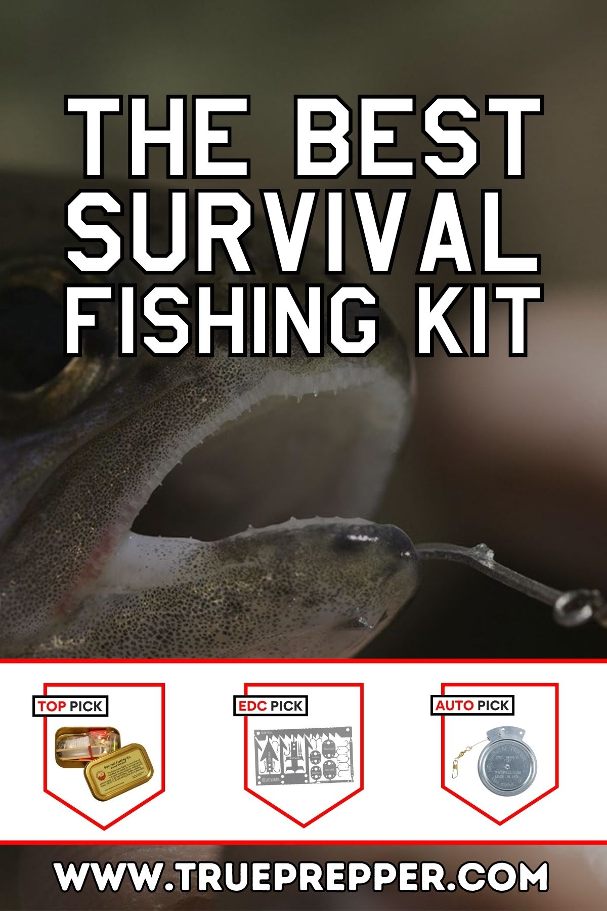 Survival Fishing Kit 5-Pack Auto Fishing Device - Lightweight, Compact,  Easy to Use - Catfishing Outdoor Survival Camping Bushcraft Fishing