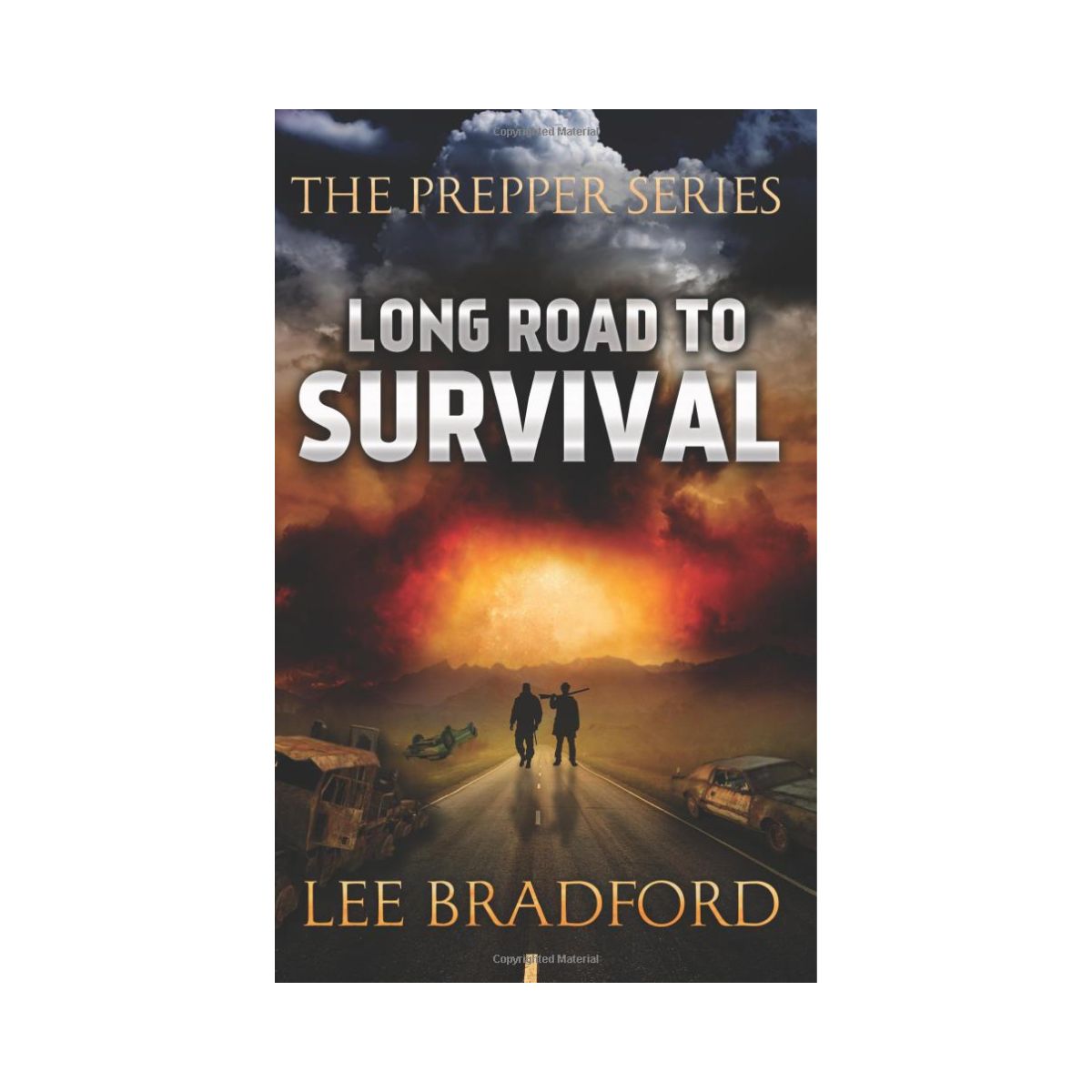 The Long Road to Survival by Lee Bradford