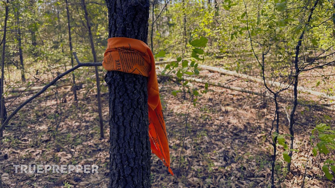 Orange bandana tied to a tree to mark a trail in the woods.